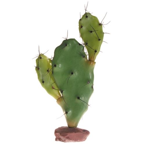 Hobby Terra Cactus Serengeti 37048 -  Декоративен кактус Серенгети