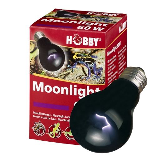 Hobby Moonlight Lamp 37374 60W 
