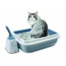 Imac Cat Toilet Duo with Romeo 81494