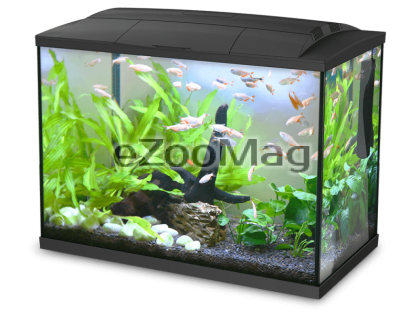 Hailea Aquarium K20 36 x 26 x 29cm - Аквариум 20л