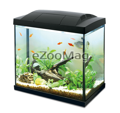 Hailea Aquarium K20 36 x 26 x 29cm - Аквариум 20л