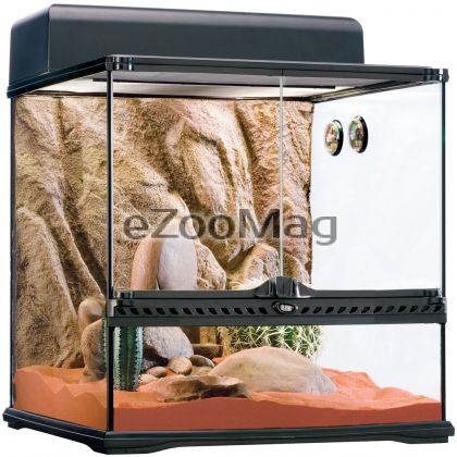 Exo Terra Habitat Kit Desert Medium PT2652