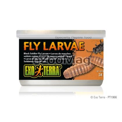 Exo Terra Canned Black Solider Fly Larvae PT1966