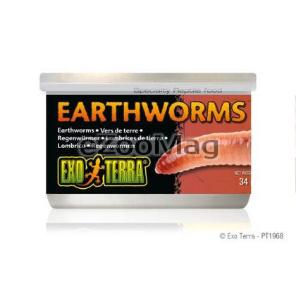 Exo Terra Canned Earthworms PT1968