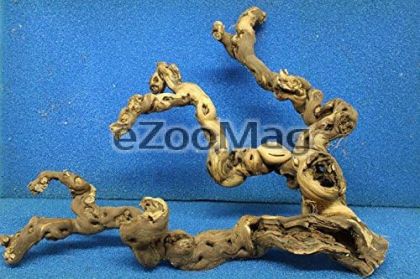 HOBBY Weinreben Wurzel Jumbbo 34127