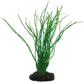 Hobby Sagittaria 41502
