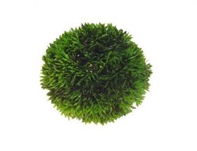 Hobby Plant Ball 41542 12cm
