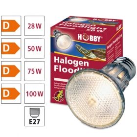 Hobby Halogen Floodlight 37386 50W