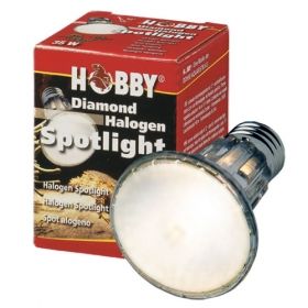 Hobby Halogen Spotlight 37392 75W
